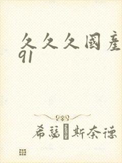 久久久国产精品91