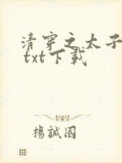 清穿之太子娇妃 txt下载