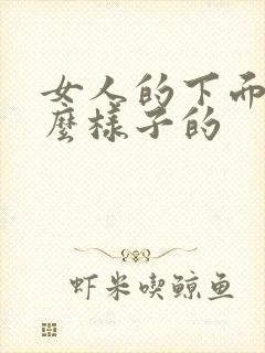 女人的下面是什么样子的