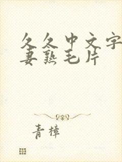 久久中文字幕人妻熟毛片封面