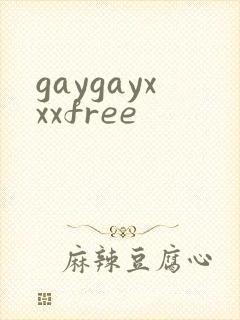 gaygayxxxfree