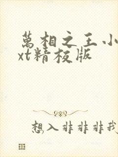 万相之王小说txt精校版