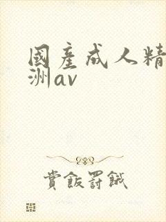 国产成人精品亚洲av