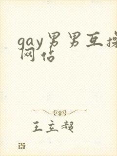 gay男男互操网站