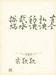 总裁的私有宝贝祸水泱泱全文阅读