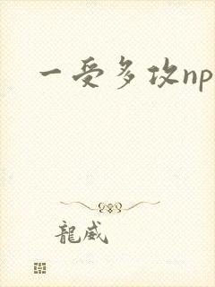 一受多攻np受