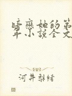 暗恋她的第十一年小说全文