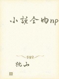 小说全肉np