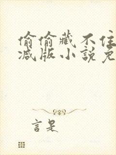 偷偷藏不住无删减版小说免费