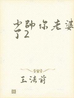 少帅你老婆又跑了2