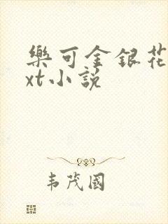 乐可金银花露txt小说封面
