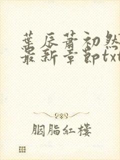 叶辰萧初然免费最新章节txt