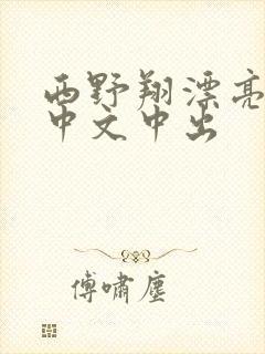 西野翔漂亮人妻中文中出