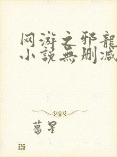 网游之邪龙逆天小说无删减封面