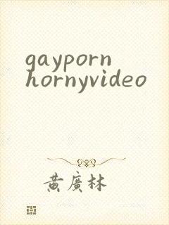 gaypornhornyvideo