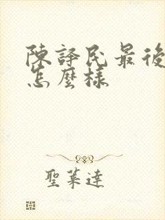 陈译民最后结局怎么样封面