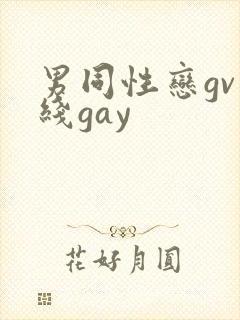 男同性恋gv在线gay