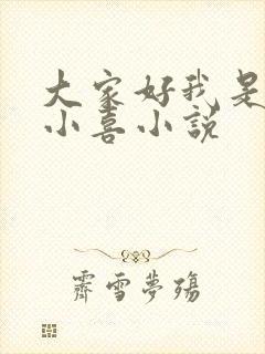 大家好我是叫林小喜小说封面