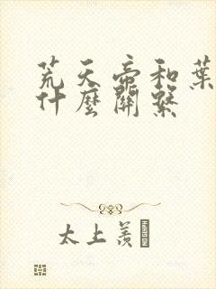 荒天帝和叶天帝什么关系封面