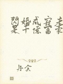 闪婚成宠老公竟是千亿富豪