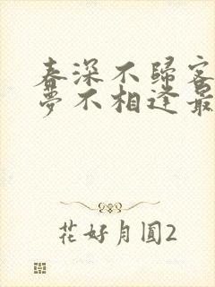 春深不归客,清梦不相逢最新章节更新