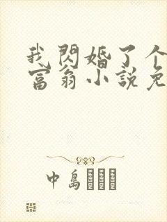 我闪婚了个亿万富翁小说免费阅读