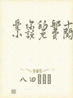 爱你的那十一年小说免费阅读