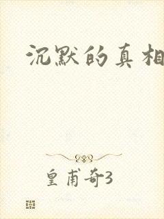 沉默的真相解说封面