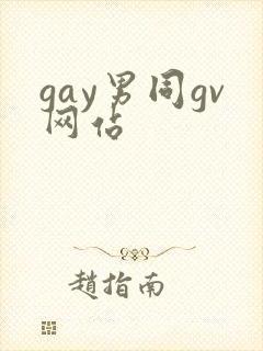 gay男同gv网站
