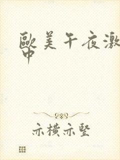 欧美午夜激情 中