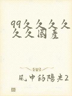 99久久久久久久久国产
