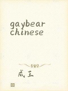 gaybearchinese