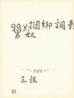 gay捆绑调教男奴