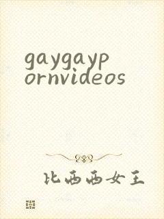 gaygaypornvideos