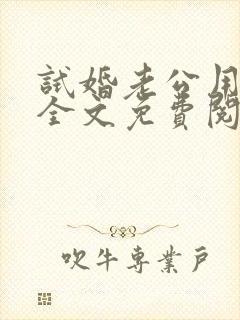 试婚老公用点力全文免费阅读全文