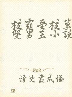 校霸受校草攻的双男主小说封面