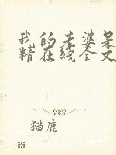 我的老婆是狐狸精在线全文阅读封面