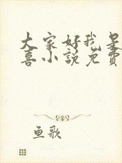 大家好我是林小喜小说免费阅读封面