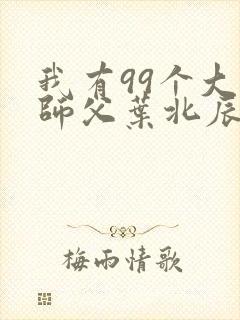 我有99个大佬师父叶北辰免费阅读小说无弹窗