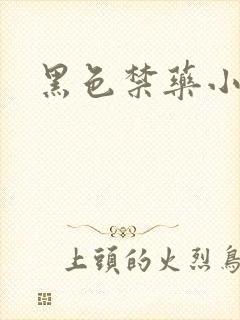 黑色禁药小说