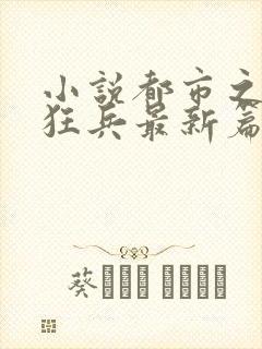 小说都市之最强狂兵最新篇章