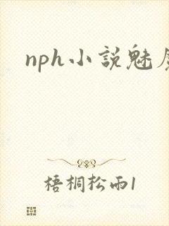 nph小说魅魔