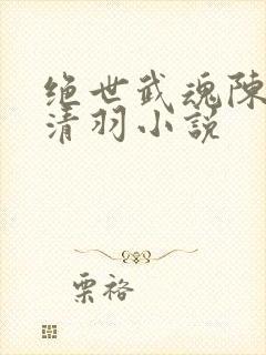 绝世武魂陈枫燕清羽小说