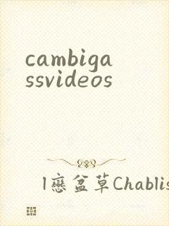 cambigassvideos