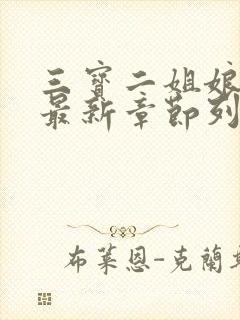 三宝二姐娘小说最新章节列表封面