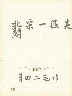 北宋一匹夫笔趣阁