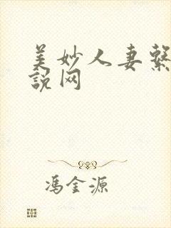 美妙人妻系列小说网