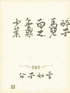 少年白马醉春风叶鼎之儿子