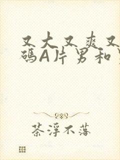 又大又爽又黄无码A片男和男