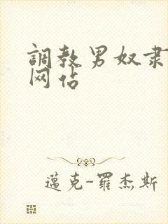 调教男奴隶小说网站